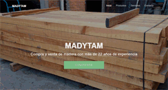 Desktop Screenshot of madytam.com.mx